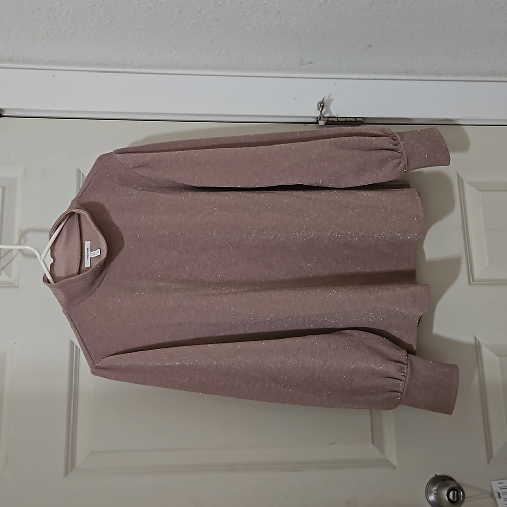 Sparkly Balloon sleeve turtle neck